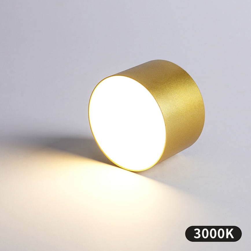 BRILAGI - Außen-Deckenleuchte FORIS LED/9W/230V Ø 9 cm goldfarben IP44