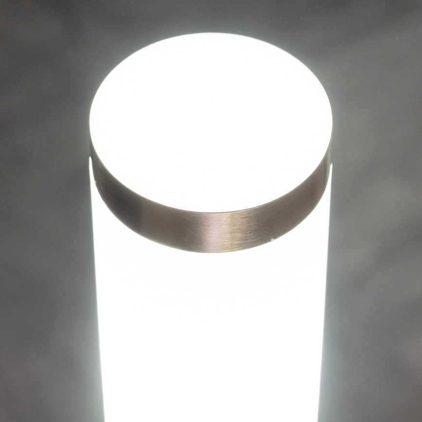 BRILAGI - Außenleuchte mit Bewegungsmelder ELIA 1xE27/20W/230V IP44 50 cm mattchrom