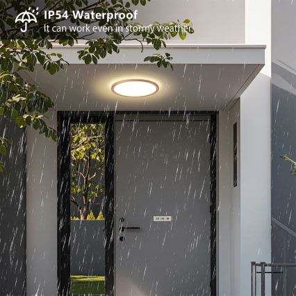 Brilagi - LED-Badezimmer-Deckenleuchte ULTRA SLIM LED/18W/230V Ø 30 cm Roségold IP54