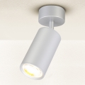 Brilagi - Badezimmerstrahler SELE 1xGU10/30W/230V IP44 silbern