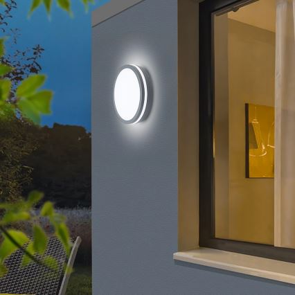 Brilagi - LED Außenleuchte mit Sensor BENE LED/24W/230V Ø 26 cm Anthrazit IP54