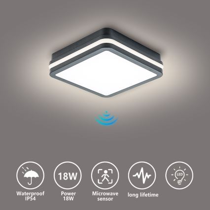 Brilagi - LED Außenleuchte mit Sensor BENE LED/18W/230V 22x22 cm Anthrazit IP54