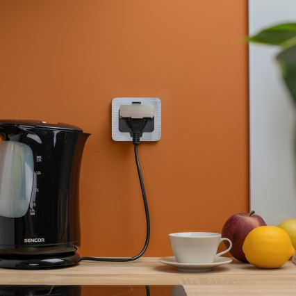 Brilagi - Boden-Einbausteckdose für den Außenbereich IP55 matt Chrom rechteckig