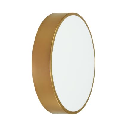 Brilagi - Deckenleuchte CLARE 3xE27/40W/230V d 40 cm golden