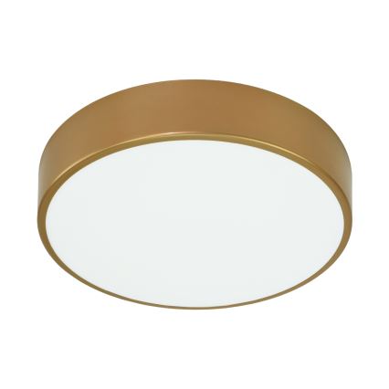 Brilagi - Deckenleuchte CLARE 3xE27/40W/230V d 40 cm golden