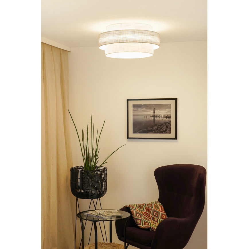 Brilagi - Deckenleuchte DOVER SPACE LED/12W/230V Ø 50 cm 3000K/4000K/6400K grau/creme