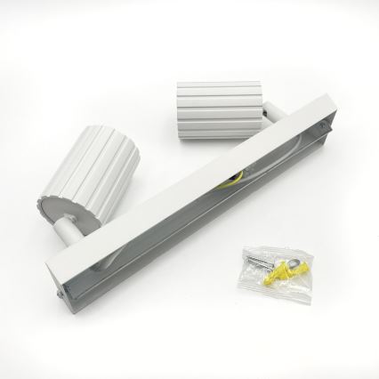 Brilagi - Deckenspot CRISPINA 2xGU10/10W/230V weiß