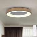 BRILAGI - dimmbare LED-Deckenleuchte DORIA LED/60W/230V 3000-6500K Ø 60 cm + Fernbedienung