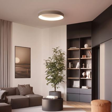 BRILAGI - LED-dimmbare Deckenleuchte FALCON II LED/99W/230V 3000-6500K Ø 60 cm weiß/beige + Fernbedienung