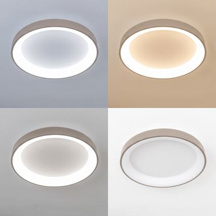 BRILAGI - LED-dimmbare Deckenleuchte FALCON II LED/99W/230V 3000-6500K Ø 60 cm weiß/beige + Fernbedienung