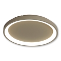 BRILAGI - Dimmbare LED-Deckenleuchte FALCON SLIM LED/42W/230V 3000-6500K Ø 50 cm beige + Fernbedienung