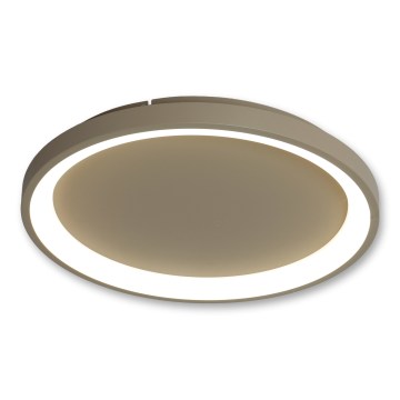 BRILAGI - Dimmbare LED-Deckenleuchte FALCON SLIM LED/42W/230V 3000-6500K Ø 50 cm beige + Fernbedienung