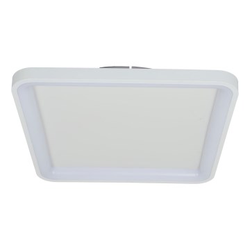 Brilagi - dimmbare LED-Deckenleuchte FALCON SLIM LED/50W/230V 3000-6500K 50x50 cm weiß + Fernbedienung
