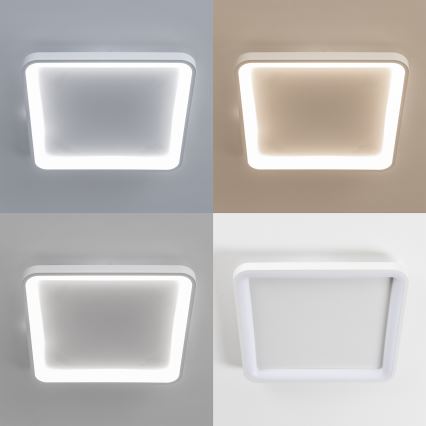 Brilagi - LED dimmbare Deckenleuchte FALCON SLIM LED/50W/230V 3000-6500K 50x50 cm Weiß + Fernbedienung