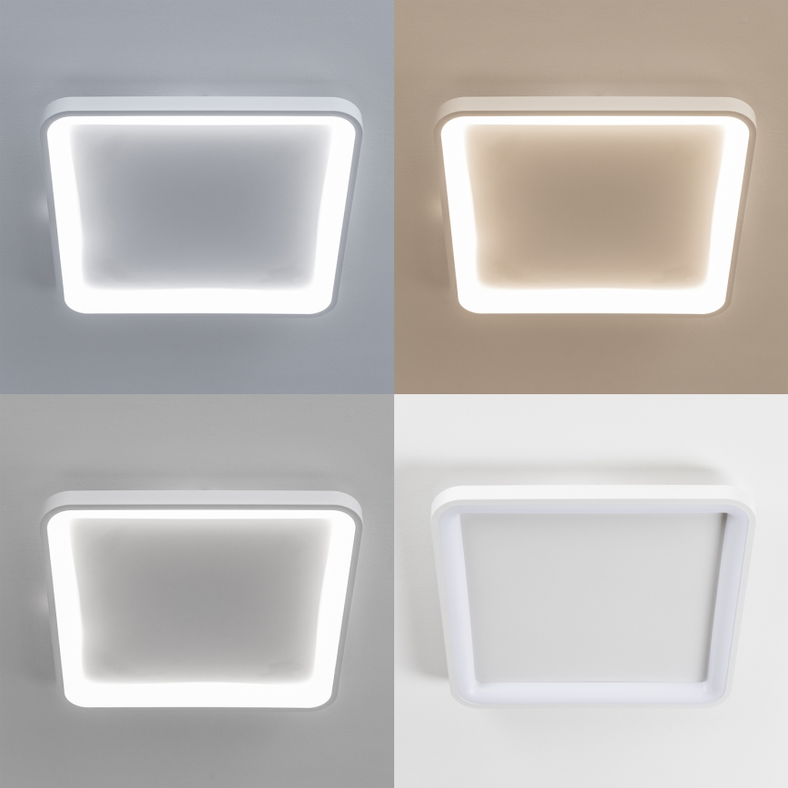 Brilagi - LED dimmbare Deckenleuchte FALCON SLIM LED/50W/230V 3000-6500K 50x50 cm Weiß + Fernbedienung