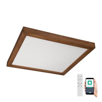 Brilagi - Dimmbare LED-Deckenleuchte für Badezimmer WOODY FRAME LED/50W/230V Eiche Kirsche 60x60 cm 3000-6000K IP44 + Fernbedienung