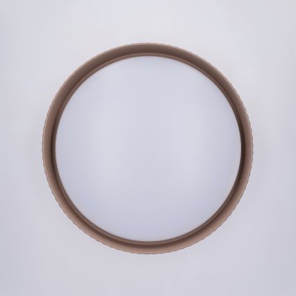 Brilagi - Dimmbare LED-Deckenleuchte LUCIA, 48 W, 230 V, 3000-6500 K, Ø 41 cm, Braun, inkl. Fernbedienung