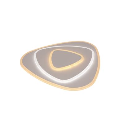 Brilagi - dimmbare LED-Deckenleuchte MODERN LED/58W/230V 3000-6000K 47x48,5 cm+ Fernbedienung