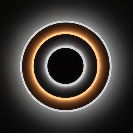 Brilagi - LED-dimmbare Deckenleuchte MODERN LED/58W/230V 3000-6000K Ø 46,3 cm + Fernbedienung