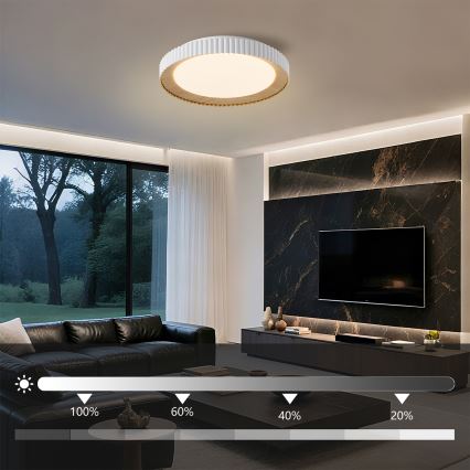 Brilagi - dimmbare LED-Deckenleuchte NEXO LED/48W/230V 3000-6000K weiß Ø 43 cm + Fernbedienung