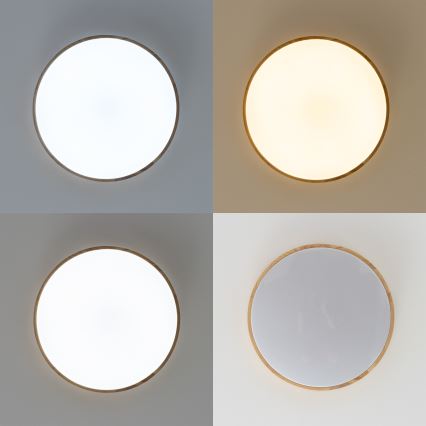 Brilagi - LED-dimmbare Deckenleuchte PINE LED/60W/230V Holz Ø 52 cm 3000-6500K + Fernbedienung