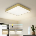 Brilagi - dimmbare LED-Deckenleuchte POOL LED/36W/230V 3000-6000K 40x40 cm goldfarben + mit Fernbedienung