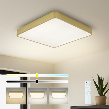 Brilagi - dimmbare LED-Deckenleuchte POOL LED/36W/230V 3000-6000K 40x40 cm goldfarben + mit Fernbedienung