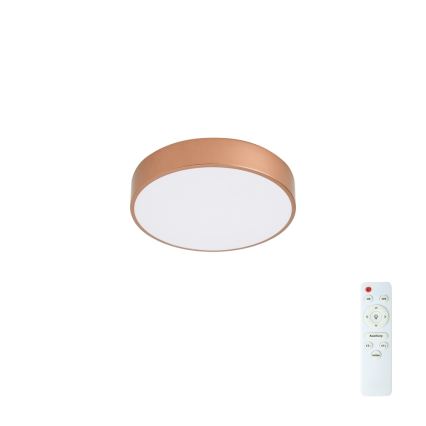 BRILAGI - LED-dimmbare Deckenleuchte POOL LED/36W/230V 3000-6000K Ø 30 cm bronzefarben + mit Fernbedienung