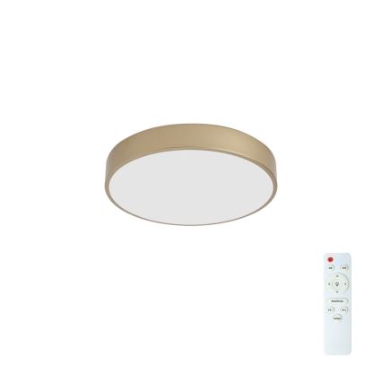 BRILAGI - LED dimmbare Deckenleuchte POOL LED/48W/230V 3000-6000K Ø 40 cm goldfarben + Fernbedienung