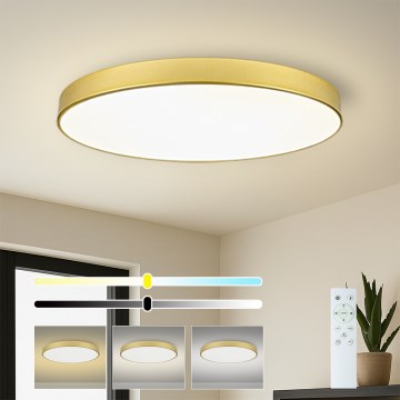 Brilagi - dimmbare LED-Deckenleuchte POOL SMART LED/128W/230V 3000-6000K 100 cm goldfarben Wi-Fi Tuya + Fernbedienung