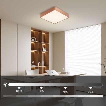 BRILAGI - dimmbare LED-Deckenleuchte POOL SQUARE LED/36W/230V 3000-6000K 40x40 cm bronzefarben + Fernbedienung