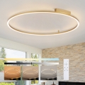 Brilagi - dimmbare LED-Deckenleuchte PORTOFINO LED/85W/230V 3000-6000K Ø 120 cm goldfarben + Fernbedienung
