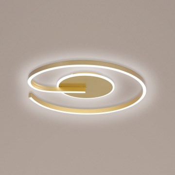 Brilagi - dimmbare LED-Deckenleuchte SPIRAL LED/56W/230V Ø 50 cm 3000/4000/6000K + Fernbedienung