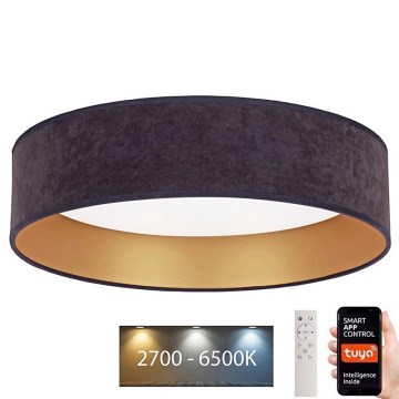 Brilagi – Dimmbare LED-Deckenleuchte VELVET SMART LED/24W/230V d. 45 cm 2700-6500K Wi-Fi Tuya grau/golden + Fernbedienung