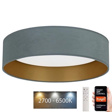 Brilagi – Dimmbare LED-Deckenleuchte VELVET SMART LED/24W/230V d. 45 cm 2700-6500K Wi-Fi Tuya minzgrün/golden + Fernbedienung