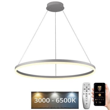Brilagi - dimmbare LED-Hängeleuchte am Seil CIRCLE LED/55W/230V 3000-6500K + Fernbedienung