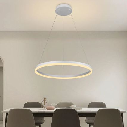 Brilagi - Dimmbare LED-Hängeleuchte an Schnur CIRCLE LED/42W/230V 3000-6500K + Fernbedienung