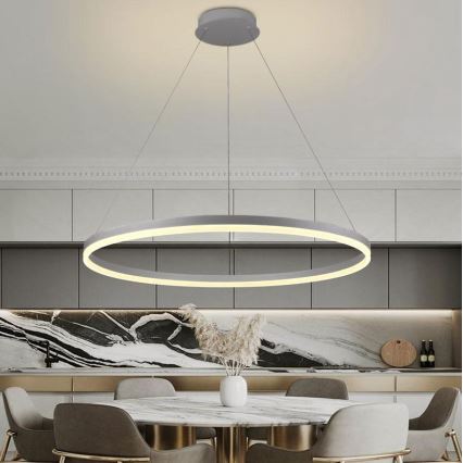 Brilagi - Dimmbare LED-Hängeleuchte CIRCLE LED/55W/230V 3000-6500K silbern + Fernbedienung