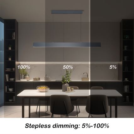 Brilagi - Dimmbare LED-Hängeleuchte SLIMLINE LED/40W/230V 3000-6000K anthrazit + Fernbedienung