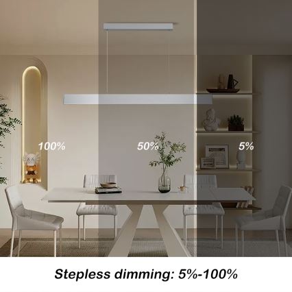 Brilagi - Dimmbare LED-Hängeleuchte SLIMLINE LED/40W/230V 3000-6000K silbern + Fernbedienung