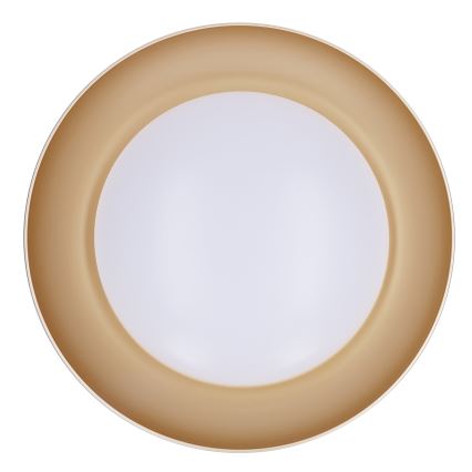 Brilagi - LED dimmbare Deckenleuchte ALVA LED/48W/230V 3000-6500K Ø 51 cm Weiß + Fernbedienung