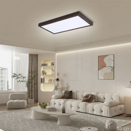 Brilagi - Dimmbare LED-Deckenleuchte für Badezimmer FRAME SMART LED/30W/230V 30x60 cm 3000-6000K  IP44 schwarz  + Fernbedienung