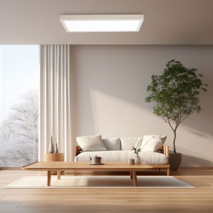 Brilagi - Dimmbare LED-Deckenleuchte für Badezimmer FRAME SMART LED/30W/230V 30x60 cm 3000-6000K IP44 weiß + Fernbedienung