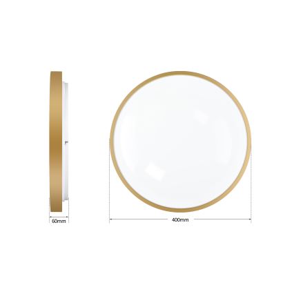 Brilagi - LED-dimmbare Deckenleuchte GLASS POOL DOUBLE LED/48W/230V 3000-6000K 40 cm goldfarben + Fernbedienung