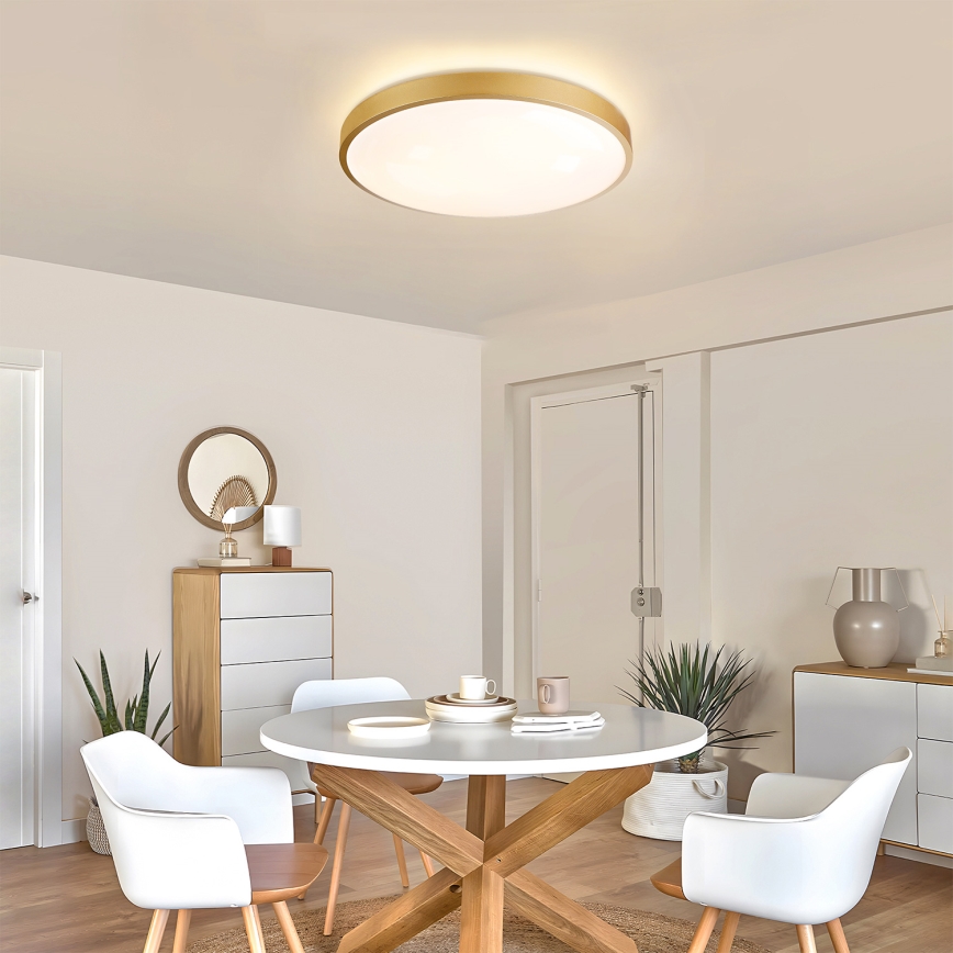 Brilagi - LED-dimmbare Deckenleuchte GLASS POOL DOUBLE LED/60W/230V 3000-6000K 50 cm gold + Fernbedienung