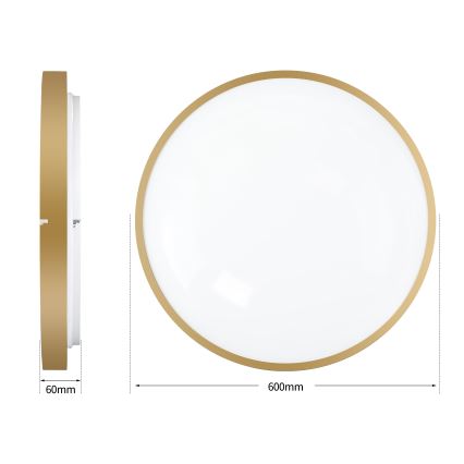 Brilagi - dimmbare LED-Deckenleuchte GLASS POOL DOUBLE LED/80W/230V 3000-6000K 60 cm goldfarben + Fernbedienung