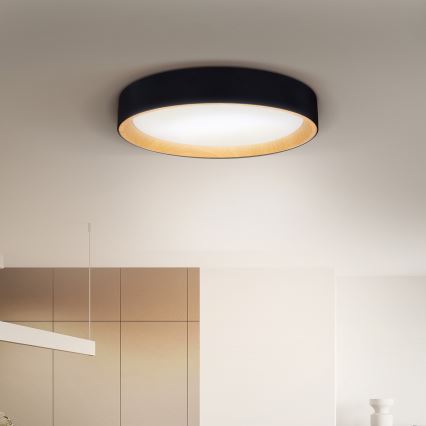 Brilagi - Dimmbare LED-Deckenleuchte LARIOS LED/60W/230V 3000-6500K ø 49 cm schwarz + Fernbedienung