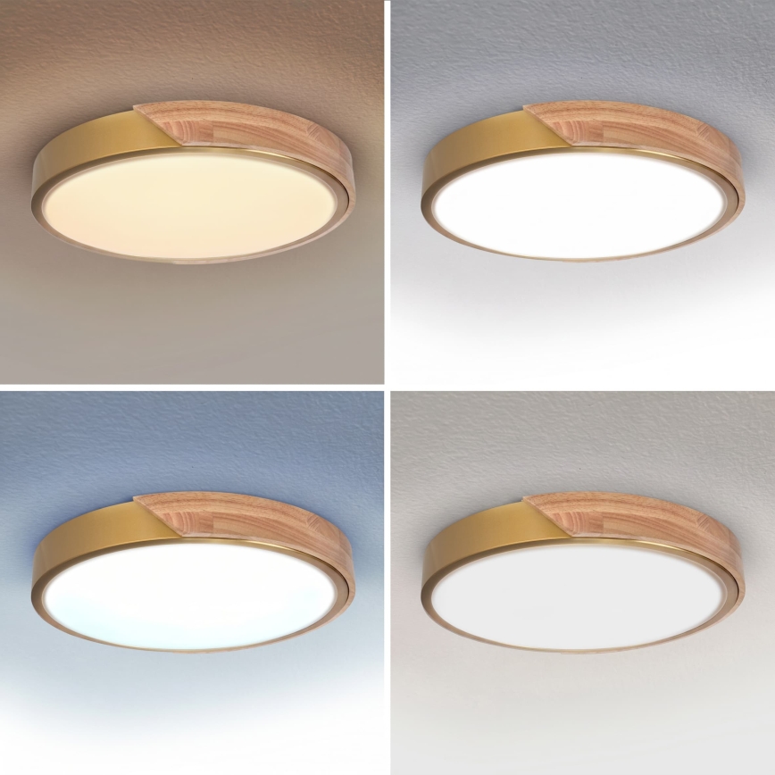 BRILAGI - LED dimmbare Deckenleuchte PILANA LED/48W/230V 3000-6500K Eiche/Gold Ø 40 cm + Fernbedienung
