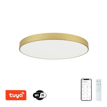 Brilagi - Dimmbare LED-Deckenleuchte POOL SMART LED/100W/230V 3000-6000K 80 cm goldfarben Wi-Fi Tuya + Fernbedienung