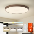 Brilagi - Dimmbare LED-Leuchte POOL SMART LED/128W/230V Ø 100 cm 3000–6000 K Wi‑Fi Tuya + Fernbedienung, braun